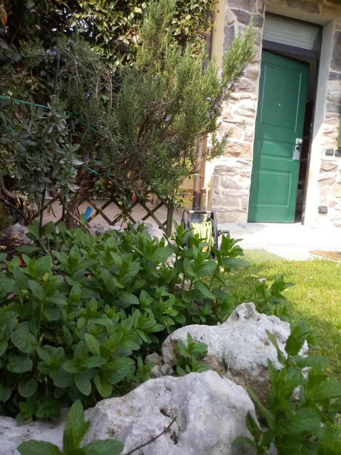 B&B Malpensa Ticino Valley Vizzola Ticino Exteriér fotografie